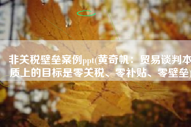 非关税壁垒案例ppt(黄奇帆：贸易谈判本质上的目标是零关税、零补贴、零壁垒)