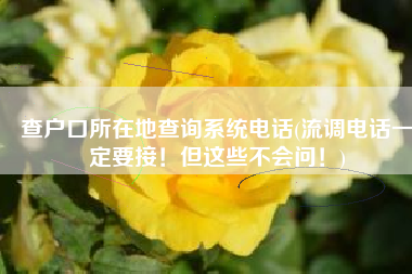 查户口所在地查询系统电话(流调电话一定要接！但这些不会问！)