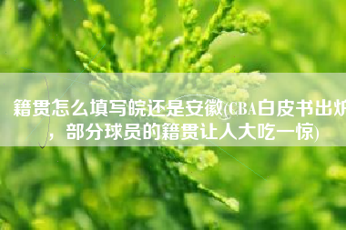 籍贯怎么填写皖还是安徽(CBA白皮书出炉，部分球员的籍贯让人大吃一惊)