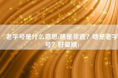老字号是什么意思(啥是非遗？啥是老字号？好晕哦)