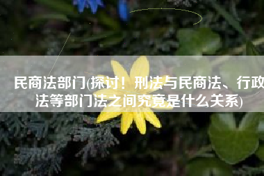 民商法部门(探讨！刑法与民商法、行政法等部门法之间究竟是什么关系)