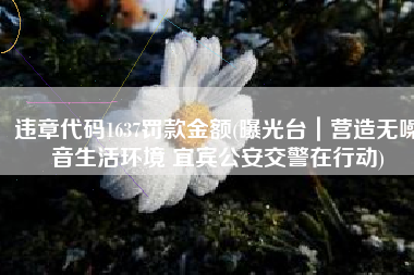 违章代码1637罚款金额(曝光台｜营造无噪音生活环境 宜宾公安交警在行动)