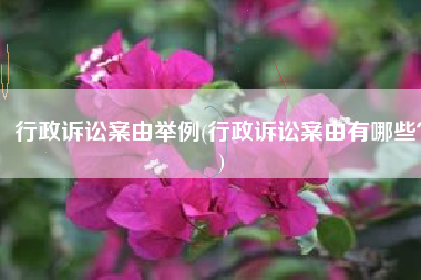 行政诉讼案由举例(行政诉讼案由有哪些？)