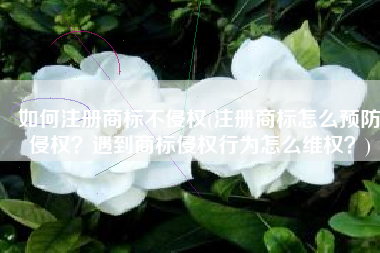 如何注册商标不侵权(注册商标怎么预防侵权？遇到商标侵权行为怎么维权？)