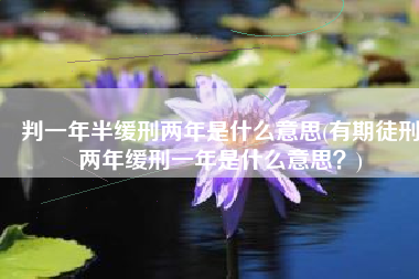 判一年半缓刑两年是什么意思(有期徒刑两年缓刑一年是什么意思？)