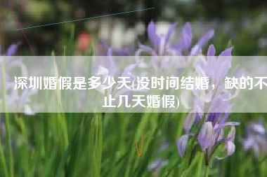 深圳婚假是多少天(没时间结婚，缺的不止几天婚假)