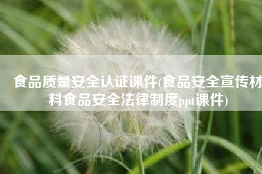 食品质量安全认证课件(食品安全宣传材料食品安全法律制度ppt课件)