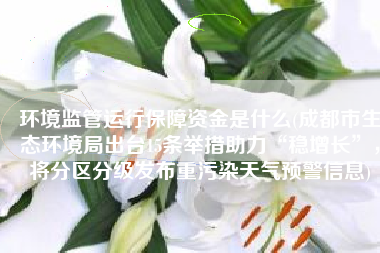 环境监管运行保障资金是什么(成都市生态环境局出台15条举措助力“稳增长”，将分区分级发布重污染天气预警信息)