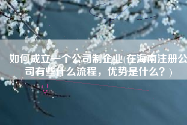 如何成立一个公司制企业(在海南注册公司有些什么流程，优势是什么？)
