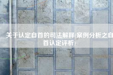 关于认定自首的司法解释(案例分析之自首认定评析)