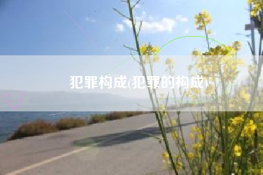 犯罪构成(犯罪的构成)