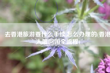 去香港旅游要什么手续,怎么办理的(香港入境回国全流程)