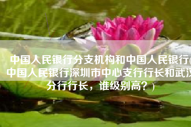 中国人民银行分支机构和中国人民银行(中国人民银行深圳市中心支行行长和武汉分行行长，谁级别高？)