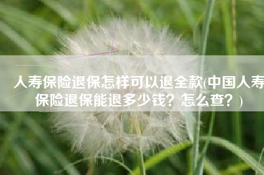 人寿保险退保怎样可以退全款(中国人寿保险退保能退多少钱？怎么查？)