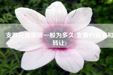 支票兑现期限一般为多久(支票的背书和转让)