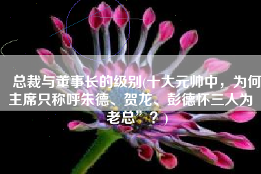总裁与董事长的级别(十大元帅中，为何主席只称呼朱德、贺龙、彭德怀三人为“老总”？)