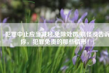 犯罪中止应当减轻,免除处罚(别怪没告诉你，犯罪免责的那些情形！)