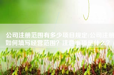 公司注册范围有多少项目规定(公司注册如何填写经营范围？注意事项是什么？)