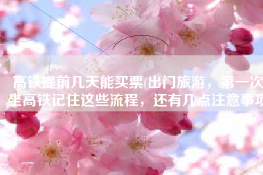 高铁提前几天能买票(出门旅游，第一次坐高铁记住这些流程，还有几点注意事项)