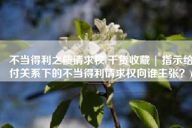 不当得利之债请求权(干货收藏 | 指示给付关系下的不当得利请求权向谁主张？)