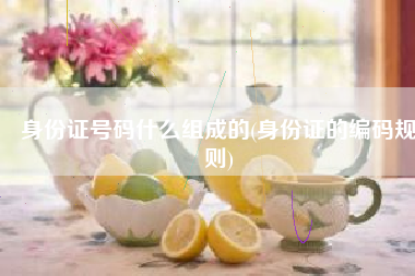 身份证号码什么组成的(身份证的编码规则)