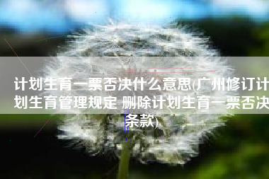 计划生育一票否决什么意思(广州修订计划生育管理规定 删除计划生育一票否决条款)