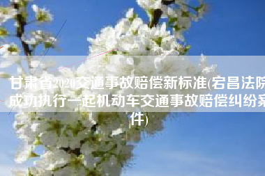 甘肃省2020交通事故赔偿新标准(宕昌法院成功执行一起机动车交通事故赔偿纠纷案件)