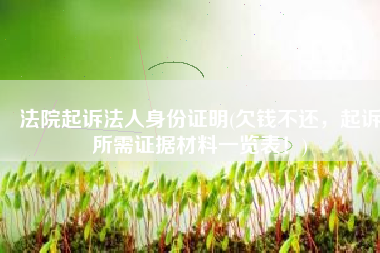 法院起诉法人身份证明(欠钱不还，起诉所需证据材料一览表！)