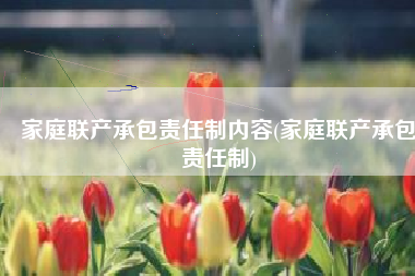 家庭联产承包责任制内容(家庭联产承包责任制)