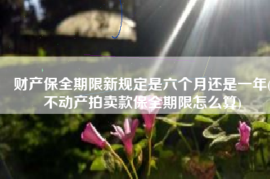 财产保全期限新规定是六个月还是一年(不动产拍卖款保全期限怎么算)