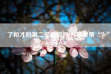 了和才的第二笔相同吗(名字里带“？”的人)
