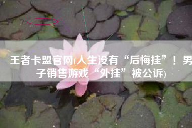 王者卡盟官网(人生没有“后悔挂”！男子销售游戏“外挂”被公诉)
