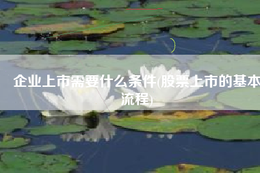 企业上市需要什么条件(股票上市的基本流程)
