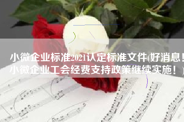 小微企业标准2021认定标准文件(好消息！小微企业工会经费支持政策继续实施！)