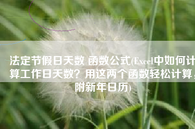 法定节假日天数 函数公式(Excel中如何计算工作日天数？用这两个函数轻松计算，附新年日历)