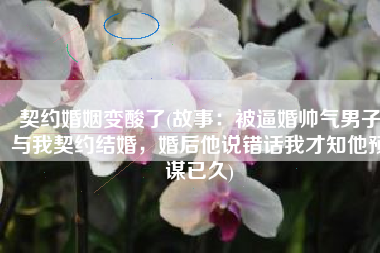 契约婚姻变酸了(故事：被逼婚帅气男子与我契约结婚，婚后他说错话我才知他预谋已久)