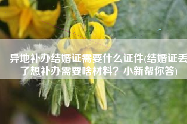 异地补办结婚证需要什么证件(结婚证丢了想补办需要啥材料？小新帮你答)