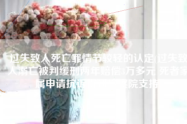 过失致人死亡罪情节较轻的认定(过失致人溺亡被判缓刑两年赔偿3万多元 死者家属申请抗诉得到检察院支持)