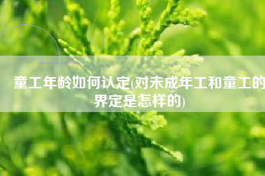 童工年龄如何认定(对未成年工和童工的界定是怎样的)