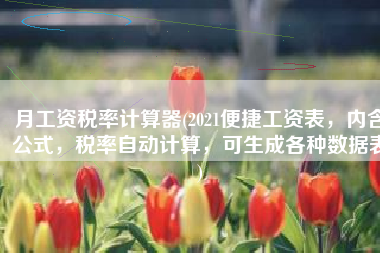 月工资税率计算器(2021便捷工资表，内含公式，税率自动计算，可生成各种数据表)