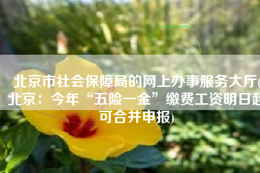 北京市社会保障局的网上办事服务大厅(北京：今年“五险一金”缴费工资明日起可合并申报)