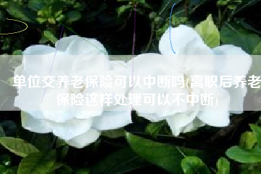 单位交养老保险可以中断吗(离职后养老保险这样处理可以不中断)