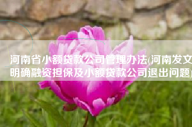 河南省小额贷款公司管理办法(河南发文明确融资担保及小额贷款公司退出问题)