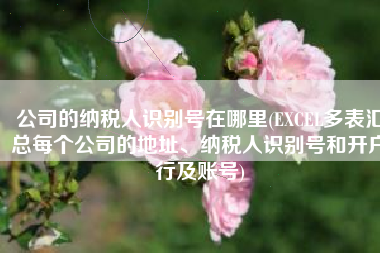 公司的纳税人识别号在哪里(EXCEL多表汇总每个公司的地址、纳税人识别号和开户行及账号)