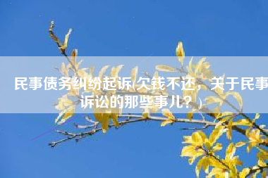 民事债务纠纷起诉(欠钱不还，关于民事诉讼的那些事儿？)