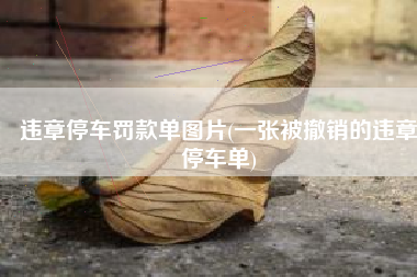 违章停车罚款单图片(一张被撤销的违章停车单)