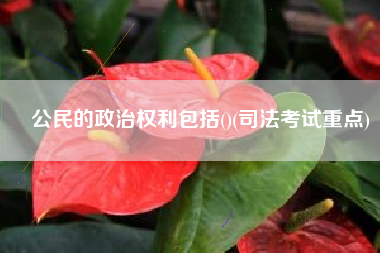 公民的政治权利包括()(司法考试重点)