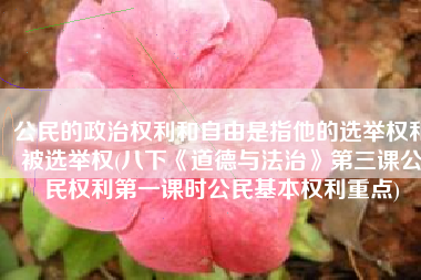 公民的政治权利和自由是指他的选举权和被选举权(八下《道德与法治》第三课公民权利第一课时公民基本权利重点)