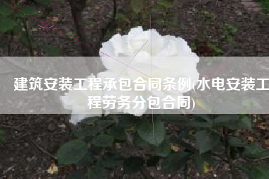 建筑安装工程承包合同条例(水电安装工程劳务分包合同)