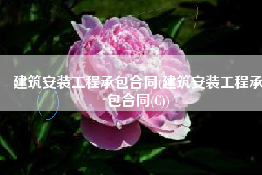 建筑安装工程承包合同(建筑安装工程承包合同(C))